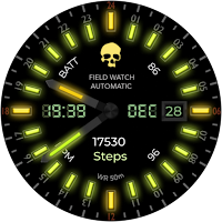 24h Analog Field Watch Wear OS