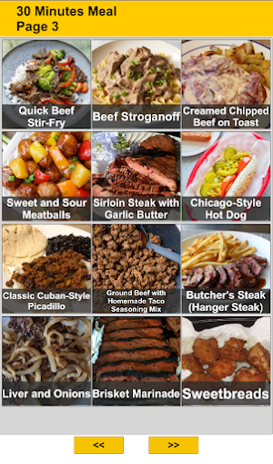 30 Minutes Meal Recipes Screenshot 2