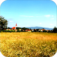 Studienka