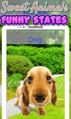 Animals Sounds (3D) Screenshot 3