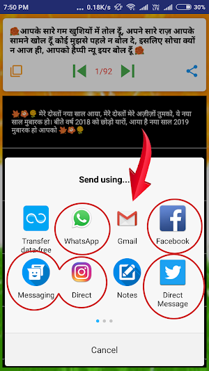 हैप्पी न्यू ईयर 2019 की शायरी (हिंदी इंग्लिश) Screenshot 2