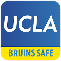 Bruins Safe
