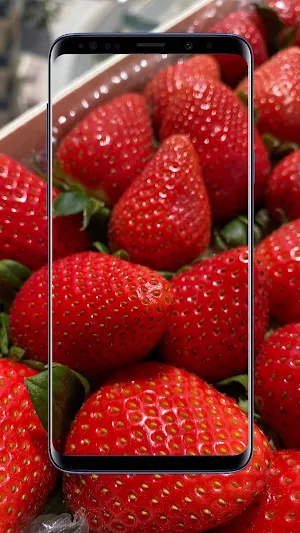 Strawberry Wallpaper Screenshot 1