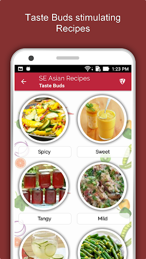South East Asian Food Recipes Offline Free Book Screenshot 3