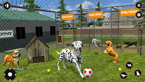 Animal Shelter Pet Simulator Screenshot 0