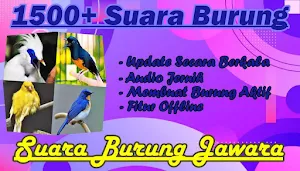 Suara Kicau Burung Offline MP3 Screenshot 0