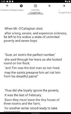 Book, The Widow O'Callaghan's Boys Screenshot 3