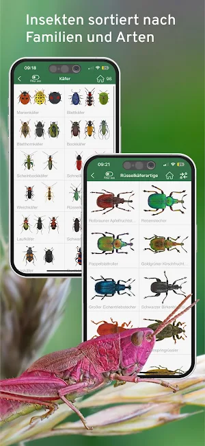 Insektenführer Pro Natura Screenshot 3