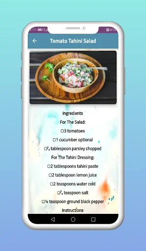 Middle Eastern Salad Screenshot 1