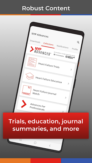 NYP Advances Screenshot 1