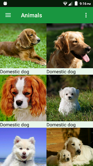 Dogs Puzzle Screenshot 0