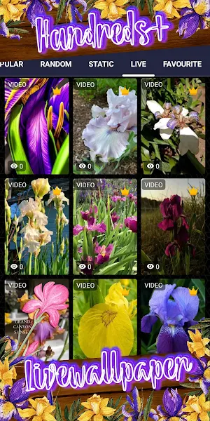 iris wallpaper Screenshot 2