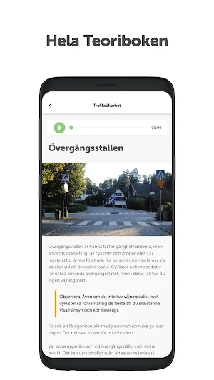 Ta Körkort - Prova på Screenshot 1