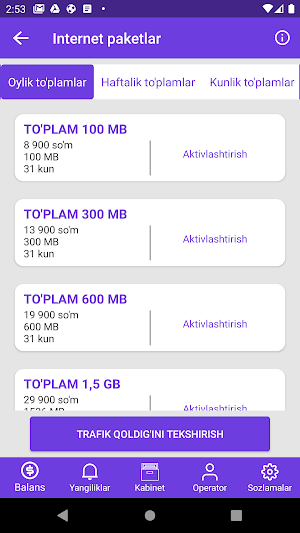 Mobile USSD Screenshot 3