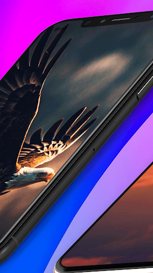 Eagle Wallpaper Live Screenshot 1