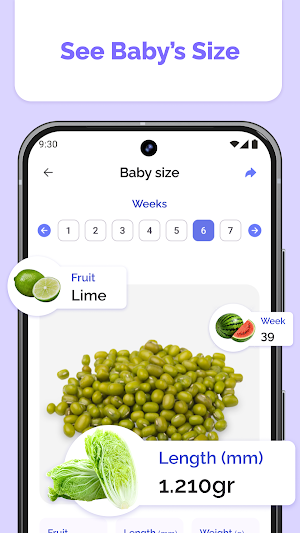 Pregnancy Tracker: Baby App Screenshot 2