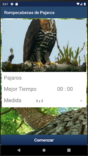 Rompecabezas de Pajaros Screenshot 2