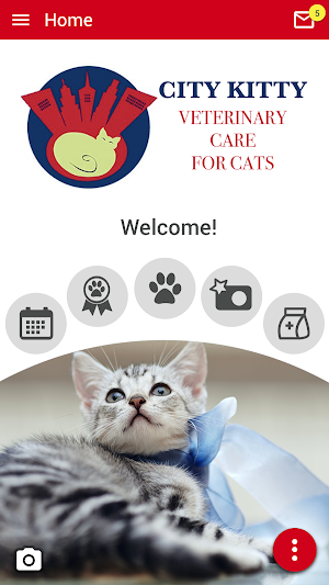City Kitty Vet Screenshot 0