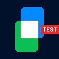 Adyen Payments Test