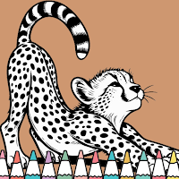 Cheetah Coloring Book