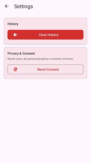 Screen Recording Converter Screenshot 2