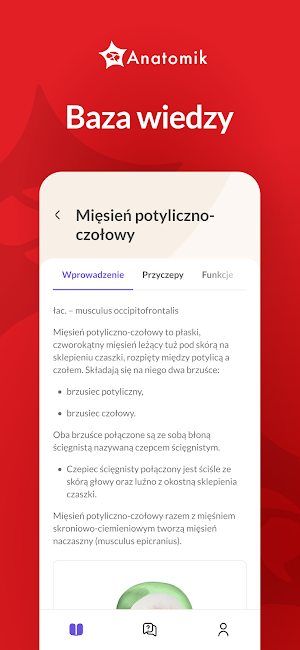 Anatomik Screenshot 2