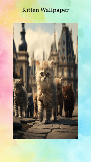 Cute Kitten Wallpapers Screenshot 3