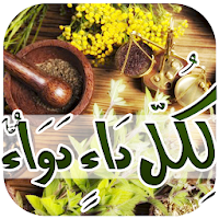 لكل داء دواء بدون انترنت‎