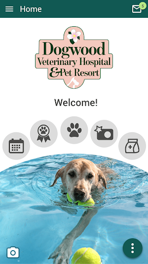 Dogwood Vet and Pet Resort Screenshot 0