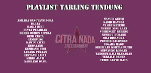 Tarling Tengdung Citra Nada Screenshot 0
