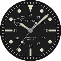 CELEST5431 Diver Watch