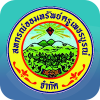 PBN Saving