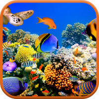 Sea Life 3D Video Wallpaper