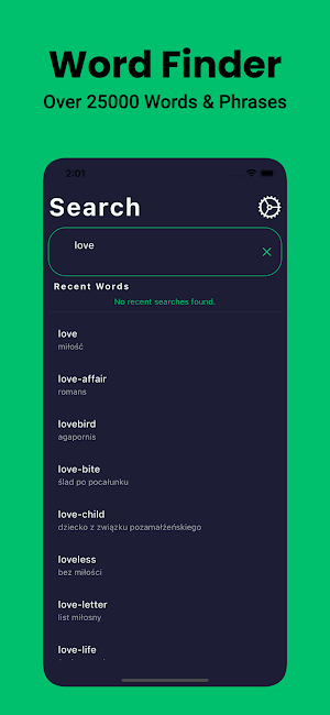 Polish Dictionary English Screenshot 2