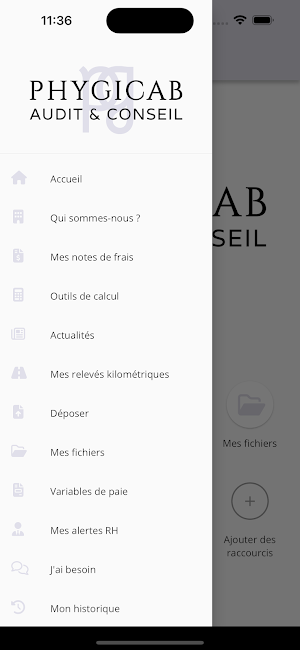 PHYGICAB AUDIT & CONSEIL Screenshot 3