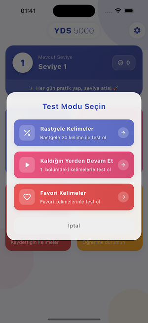 YDS 5000 Screenshot 3