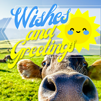 Everyday Wishes and Greetings