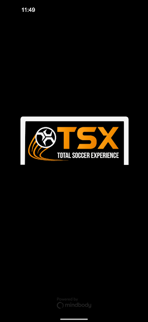 Total Soccer eXperience Screenshot 0