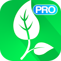 Vegetarian and Vegan Recipes Pro