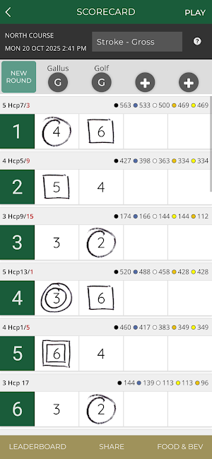 Foxtail Golf Club Screenshot 2