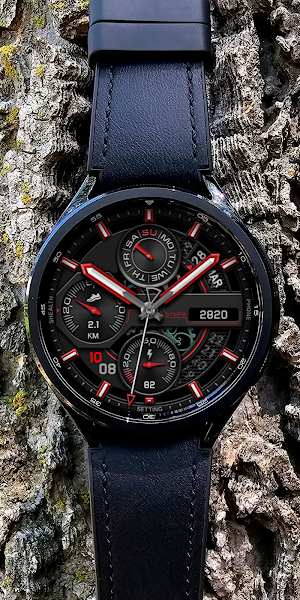 Hybrid Tagum Watch face Screenshot 1