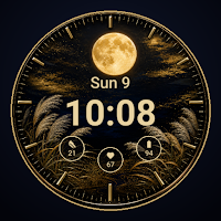 Harvest Moon Japanese Face