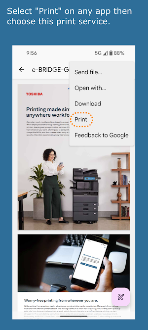 e-BRIDGE Global Print Plugin Screenshot 2