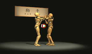 VR Wing Chun Trainer Screenshot 0