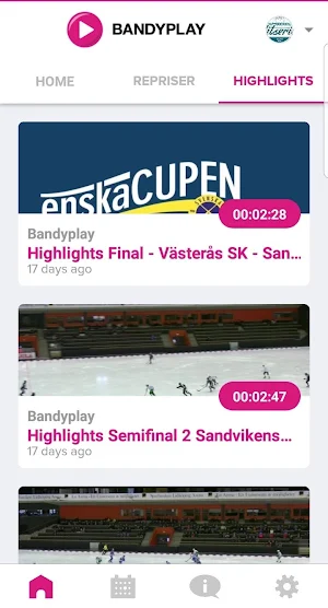 Bandyplay Screenshot 3