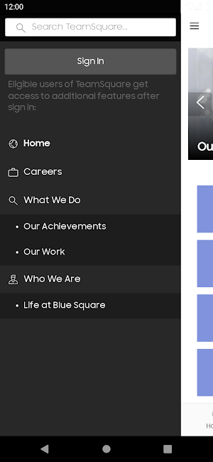 TeamSquare - Blue Square Screenshot 1