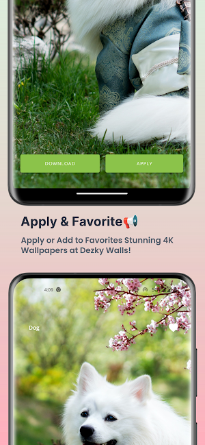Dezky Wallpaper - 4k wallpaper Screenshot 3