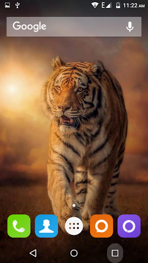 Tiger Hd Wallpapers Screenshot 2