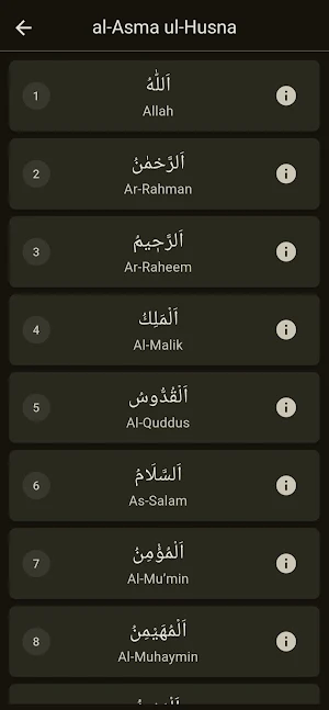 Dhikr - Tasbeeh Counter Screenshot 2