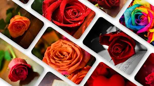 Rose Wallpaper 2023 Screenshot 0